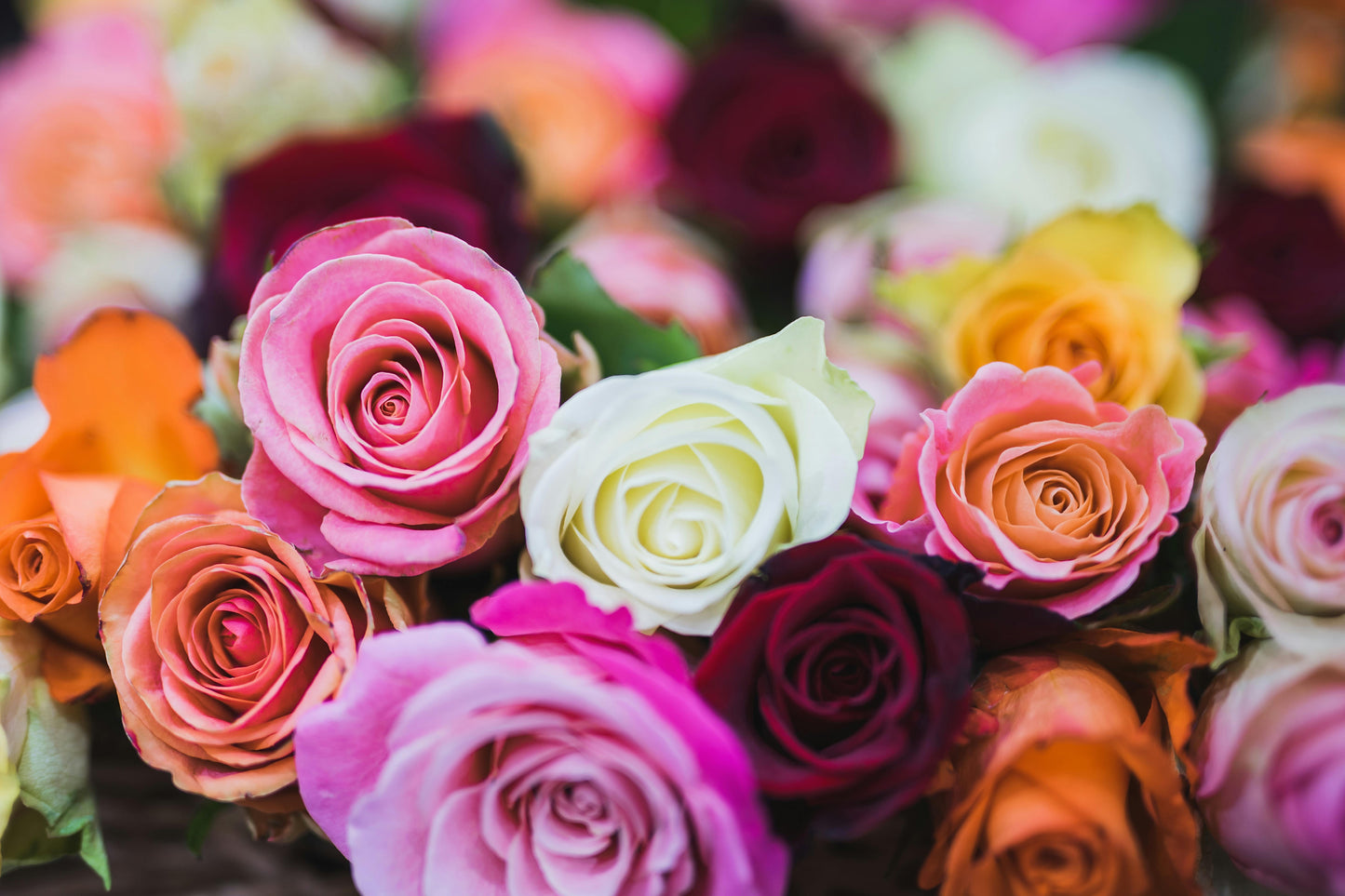 Vibrant Mixed Roses Bouquet